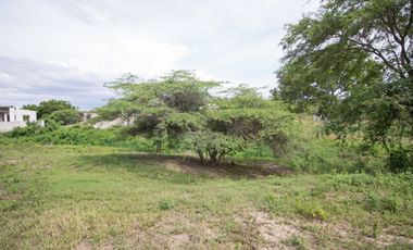 Venta de Lote Ubicado en Paluato - Galapa