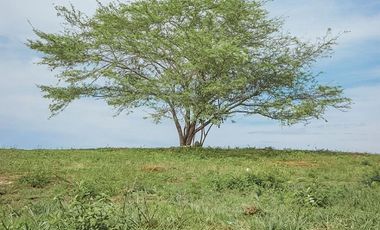 Venta de Lote Ubicado en Paluato - Galapa