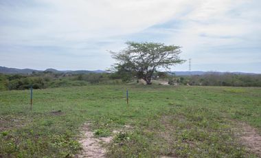 Venta de Lote Ubicado en Paluato - Galapa