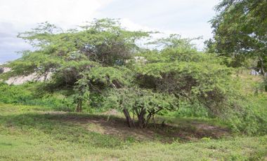 Venta de Lote Ubicado en Paluato - Galapa