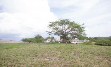 Venta de Lote Ubicado en Paluato - Galapa
