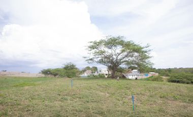 Venta de Lote Ubicado en Paluato - Galapa