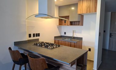 DEPARTAMENTO AMUEBLADO Y EQUIPADO EN RENTA DISTRITO MATERA IRAPUATO $25,000