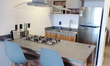 DEPARTAMENTO AMUEBLADO Y EQUIPADO EN RENTA DISTRITO MATERA IRAPUATO $25,000