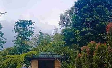 Villa Dijual Sukamakmur Bogor Siap Huni LT 1000 m² Fasilitas Kolam Renang Harga Nego Sampai Jadi