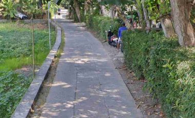 Tanah Murah View Sawah di Lendah ,Kulon Progo Yogyakarta