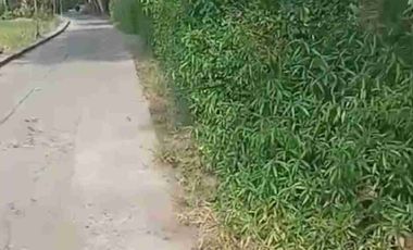Tanah Murah View Sawah di Lendah ,Kulon Progo Yogyakarta