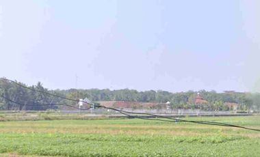 Tanah Murah View Sawah di Lendah ,Kulon Progo Yogyakarta