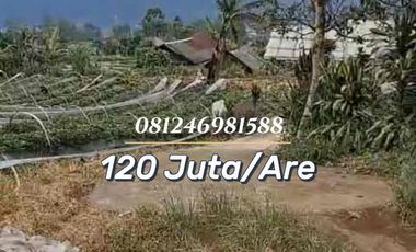 SALE Tanah View Danau Bedugul 30 Are