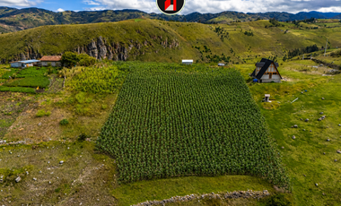 EN PAUTE AZUAY VENDO TERRENO 8.900 m² – LAND FOR SALE IN PAUTE ECUADOR