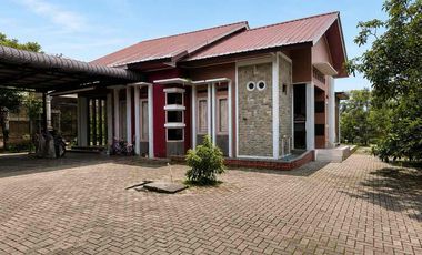 DIJUAL – Rumah Full Furnished dengan Lahan Luas & Kebun Buah Produktif di Pangkalpinang