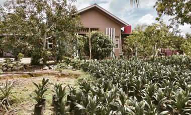 DIJUAL – Rumah Full Furnished dengan Lahan Luas & Kebun Buah Produktif di Pangkalpinang