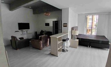 ARRIENDO APARTAESTUDIO AMOBLADO TIPO LOFT