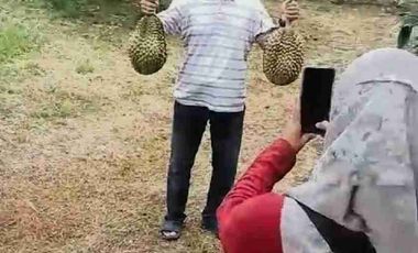 Jual murah Kebun Produktif Pekalongan