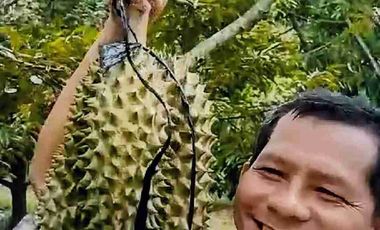 Jual murah Kebun Produktif Pekalongan