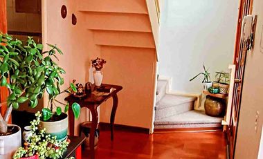 Se vende espectacular propiedad de 4 D y 2 B,  con cabaña en Valdivia, ubicada en el sector Parque Krahmer.

La propiedad cuenta con.

- 375 metros cuadrados de terreno 
- Casa principal de 120 metros cuadrados 
- Amplio living con calefactor a pellets instalado.
- Recibidor.
- Comedor de diario con estufa a combustión lenta, instalada.
- Cocina americana amoblada.