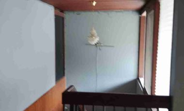 Rumah Murah Dan Siap Huni di Ancol Timur