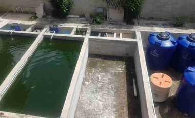 Rumah bagus cocok untuk pensiun  halaman luas ada kolam ikan di Ujungberung kota bandung