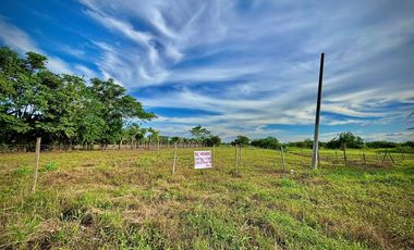 LOTE EN VENTA SECTOR SAN PELAYO  CERETE