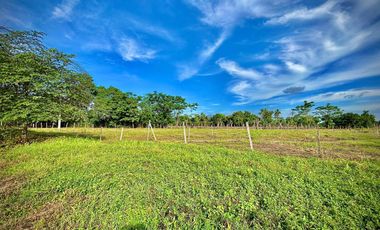 LOTE EN VENTA SECTOR SAN PELAYO  CERETE