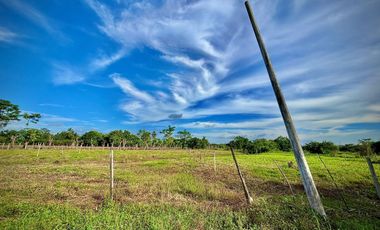 LOTE EN VENTA SECTOR SAN PELAYO  CERETE