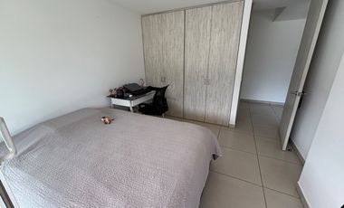 Apartamento en arriendo ibague Ed. Icono 60