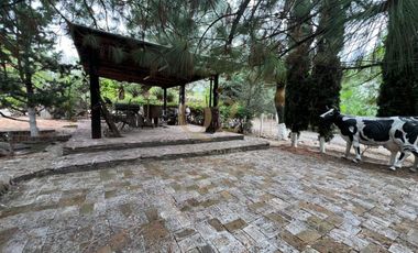 HACIENDA CAMPESTRE / CABAÑA EN VENTA EN ARTEAGA, COAHUILA
