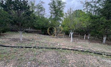 HACIENDA CAMPESTRE / CABAÑA EN VENTA EN ARTEAGA, COAHUILA
