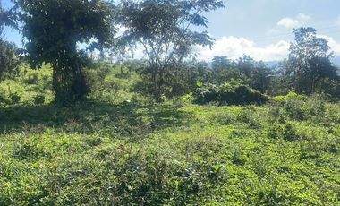 Venta de Finca de 56 hectáreas en Puerto Quito.