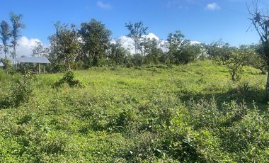 Venta de Finca de 56 hectáreas en Puerto Quito.
