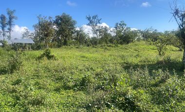 Venta de Finca de 56 hectáreas en Puerto Quito.