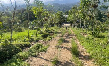 Venta de Finca de 56 hectáreas en Puerto Quito.