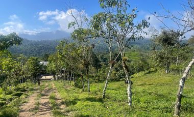 Venta de Finca de 56 hectáreas en Puerto Quito.