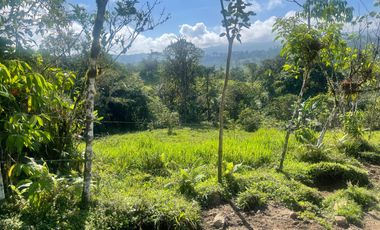 Venta de Finca de 56 hectáreas en Puerto Quito.