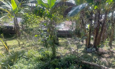 Venta de Finca de 56 hectáreas en Puerto Quito.