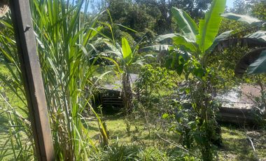 Venta de Finca de 56 hectáreas en Puerto Quito.