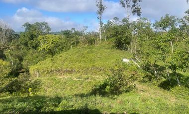 Venta de Finca de 56 hectáreas en Puerto Quito.