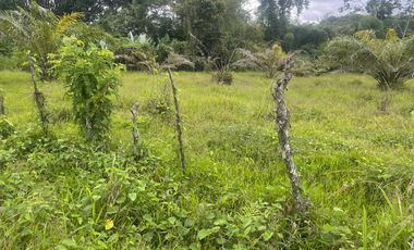 Venta de Finca de 56 hectáreas en Puerto Quito.