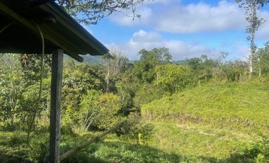 Venta de Finca de 56 hectáreas en Puerto Quito.