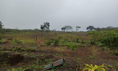 Terreno de venta en montecristi sector Manantiales