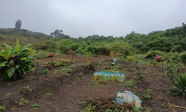 Terreno de venta en montecristi sector Manantiales