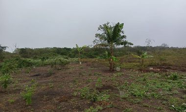 Terreno de venta en montecristi sector Manantiales