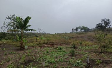 Terreno de venta en montecristi sector Manantiales