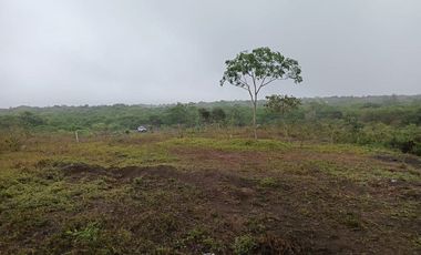 Terreno de venta en montecristi sector Manantiales