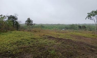 Terreno de venta en montecristi sector Manantiales