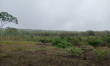 Terreno de venta en montecristi sector Manantiales