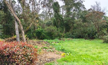 LOTE CON LICENCIA VEREDA YERBABUENA