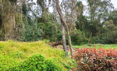 LOTE CON LICENCIA VEREDA YERBABUENA