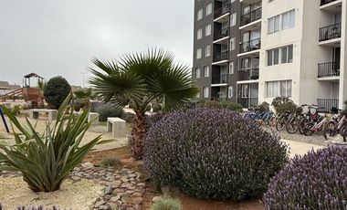 Arriendo departamento año corrido, cómodo de 3 dormitorios y 2 baños, sin muebles, Alto Hacienda, Coquimbo