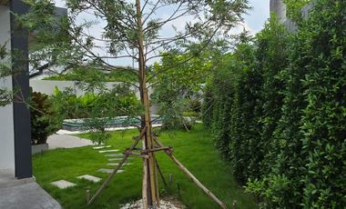 Modern Luxury Pool Villa for Rent in Central Pattaya 3 Bedrooms  Private Swimming Pool  Near International Schools and Siam Country Club